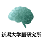世界脳週間2022　新潟大学脳研究所（オンライン開催）
